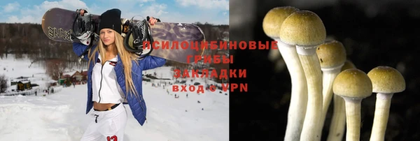 амфетамин Богданович