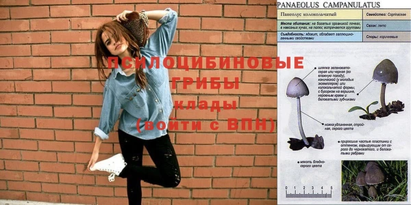 амфетамин Богданович