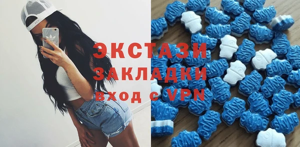 СК Богородск