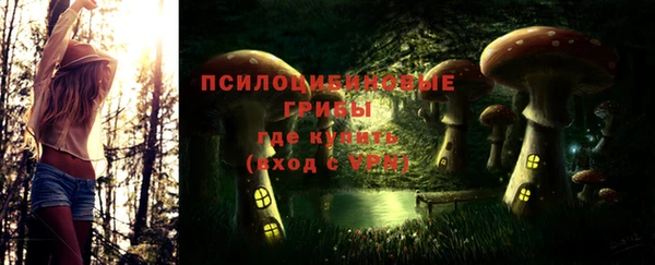 СК Богородск