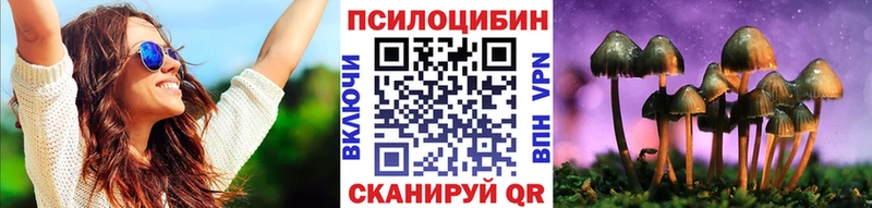 где продают   darknet какой сайт  Галлюциногенные грибы мухоморы  Кохма 